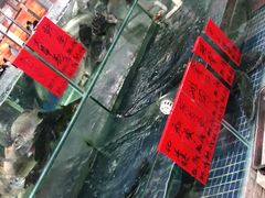 -大笑饭堂(甲子桥店)