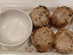 鲜肉生煎-咬不得高祖生煎·简餐(城站店)