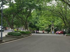 -黄桷坪涂鸦艺术街