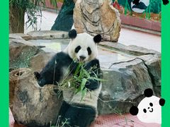 -广州动物园