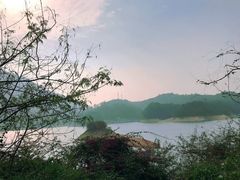 -广州市流溪河国家森林公园