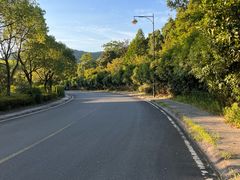 -宁波九龙湖开元度假村