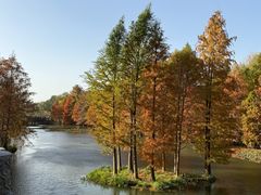 -上海海湾国家森林公园