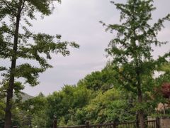 -九如山休闲旅游度假区