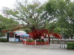-南沙天后宫景区