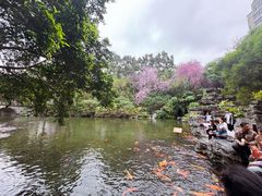 -柳侯公园
