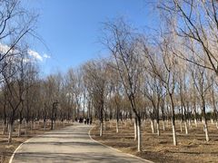 -东郊湿地公园