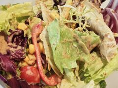 -船歌·鱼水饺青岛菜(枫蓝国际购物中心店)