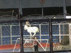 iphone_upload_pic-西安秦岭野生动物园