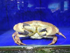 -小海豚•老字号海鲜餐厅(天涯店)