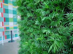 -Green Option(官舍店)