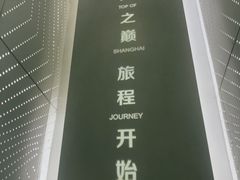 -上海中心大厦