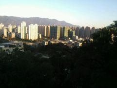 -金鸡山公园