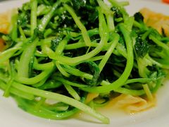 -金枝玉叶上海人家食府(三里河店)