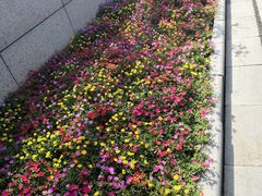 -无锡市市民中心