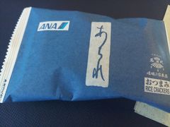 -全日本空输株式会社(上海办事处)
