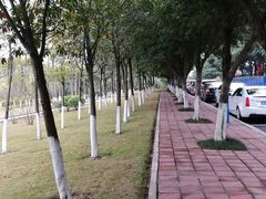 -西南政法大学(渝北校区)