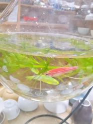 -吾行DIY手工坊(壹方北馆店)