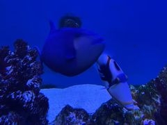 -海合安武汉极地海洋公园