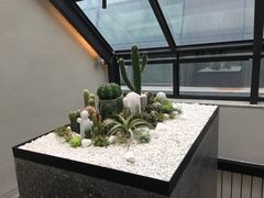 -大树餐厅(红旗街万达店)