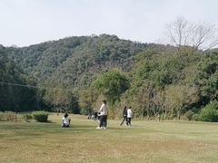 -南宁良凤江国家森林公园