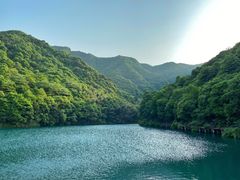-龙坞茶村