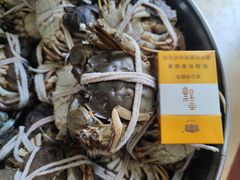 -丫丫蟹庄·苏式园林农家乐·阳澄湖大闸蟹(阳澄湖莲花岛店)