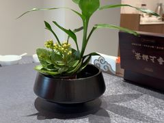 -连鹭海鲜·大连菜(星海店)