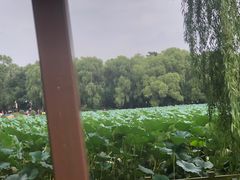 -长春市南湖公园