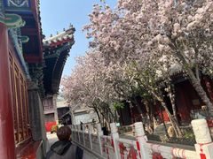 -古文化街旅游区