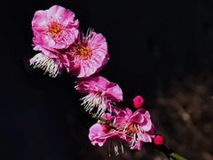 -静安雕塑公园