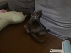 -惠宾楼老菜馆