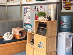 -伟伟宠物医院·瑞派猫友好医院·猫科(光谷店)