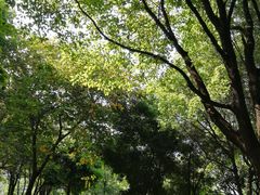 -重庆彩云湖湿地公园