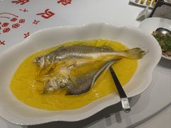 鲜清汤大黄鱼-北京宴(丰台总店)