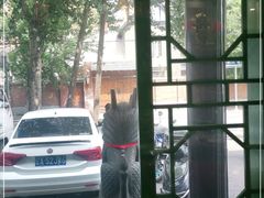 -满兴咱妈烀饼铁锅炖(兰州北街店)