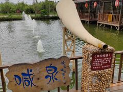 -一煲鸽