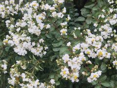 -杭州城北体育公园