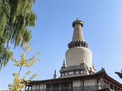 -张掖大佛寺景区