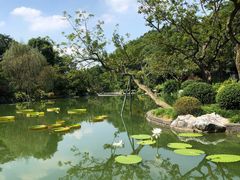 -云溪植物园