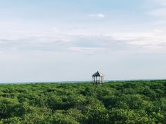 -北海金海湾红树林生态旅游区