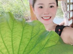 -白洋淀景区