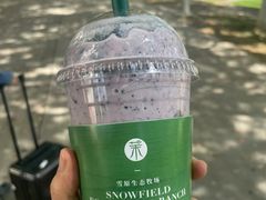 -茉酸奶(雨花客厅店)