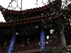 -昆明市金殿名胜区