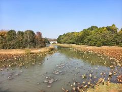 -上海海湾国家森林公园