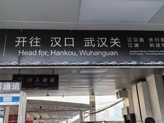 -武汉两江游览·夜游长江(汉口粤汉码头)