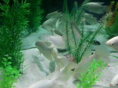 android_upload_pic-洛阳龙门海洋馆
