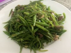 芸豆丝炒肉丝-王鹏家常菜馆