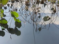 -湖畔居茶楼(湖滨店)