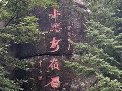-汤旺河林海奇石景区